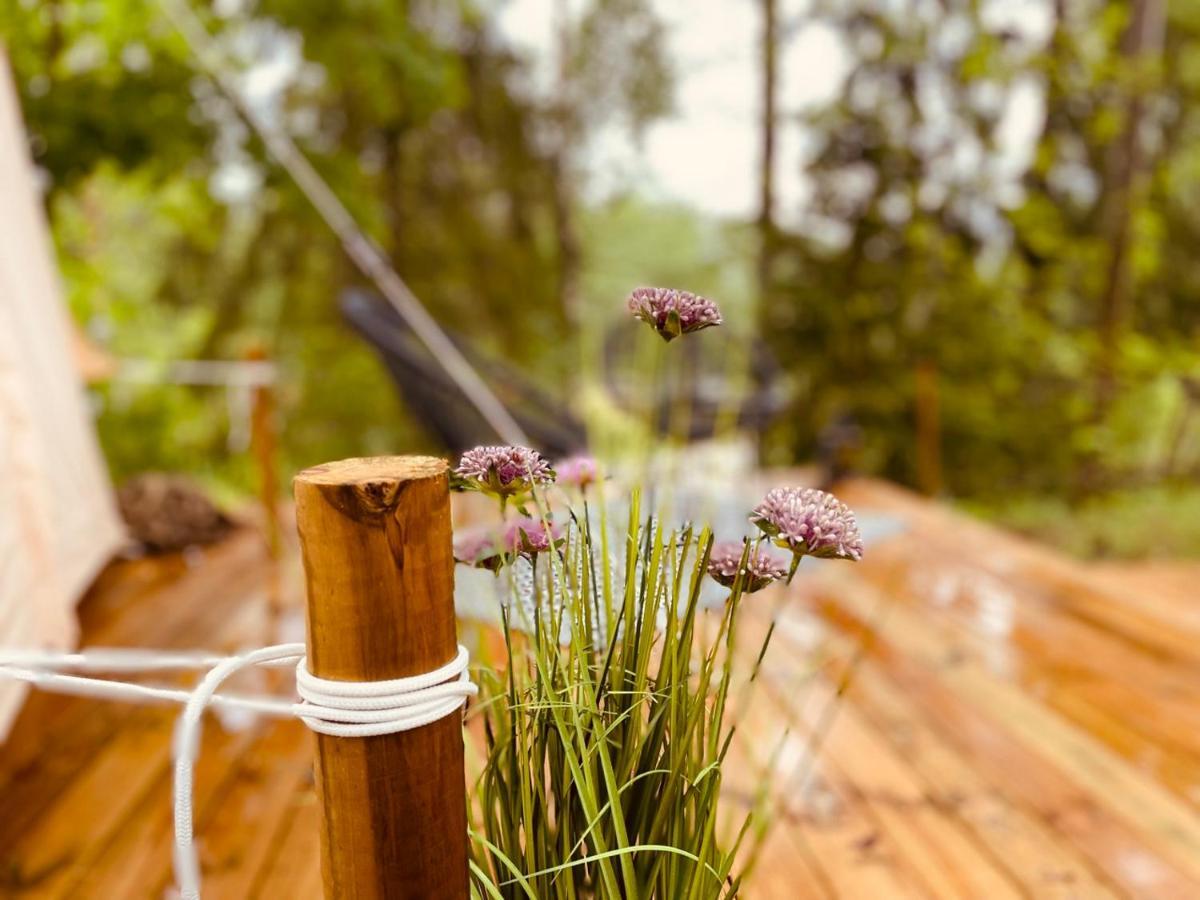 Tent Delhi A B&B In A Luxury Glamping Style Mariefred Buitenkant foto